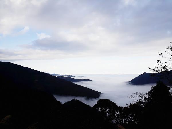 王小姐新竹包車旅遊