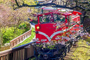 台灣中部包車-台灣中部自由行